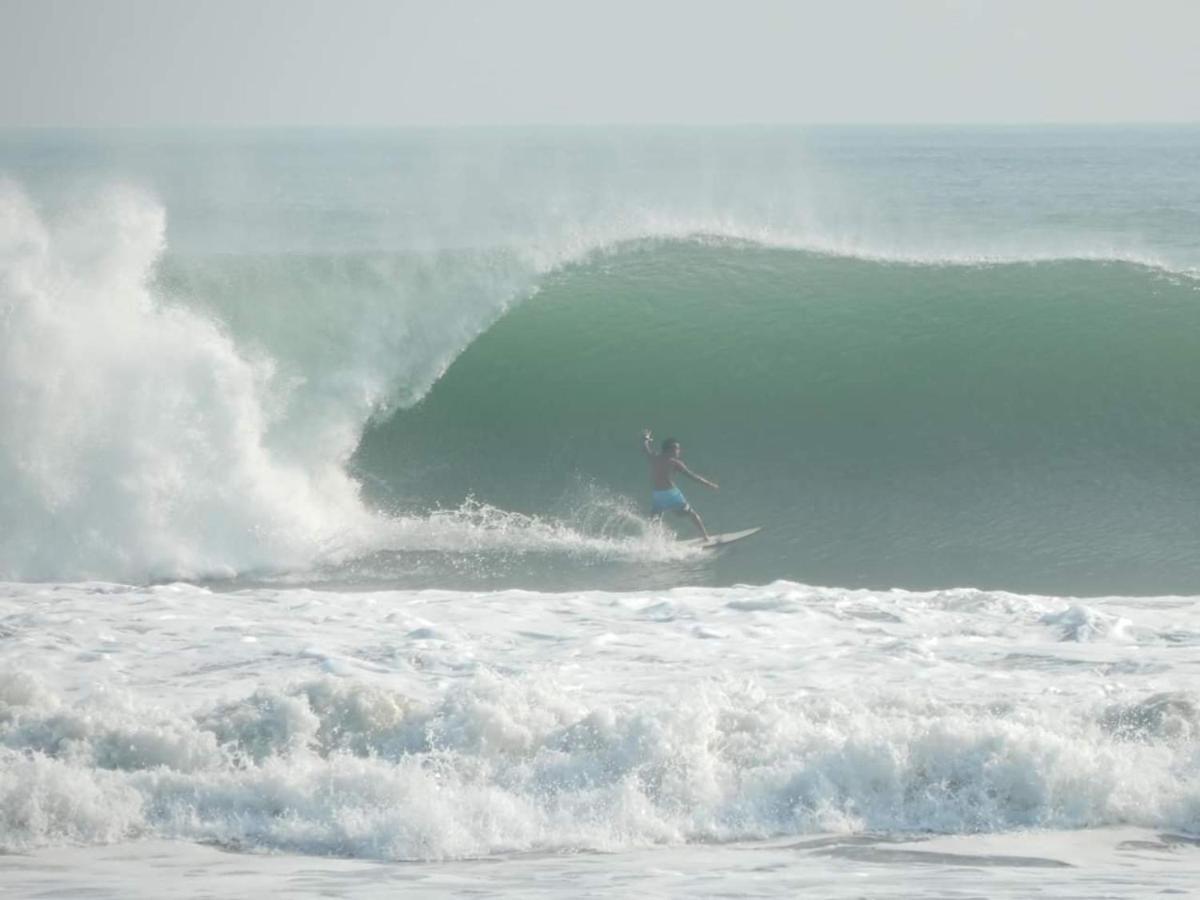 The Point Surfcamp Bali Otel Pulukan Dış mekan fotoğraf